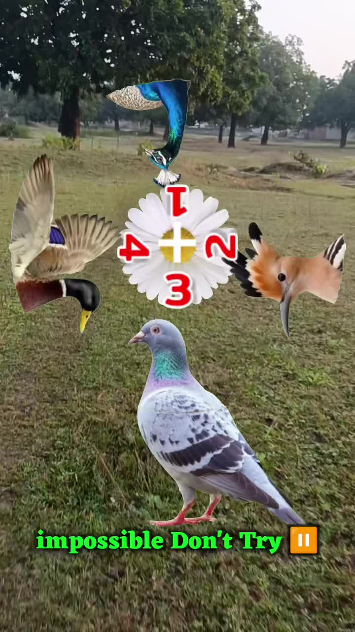 @PRAJAPATI