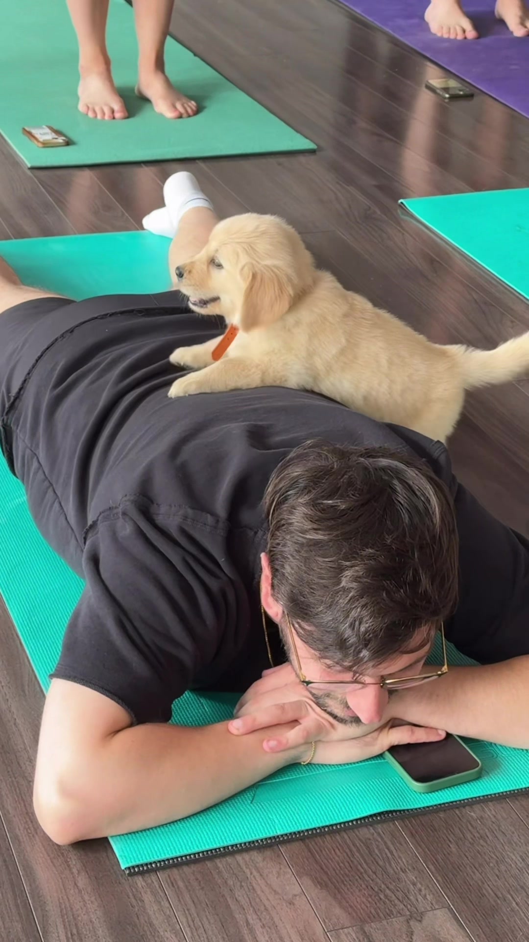 @Muskoka Puppy Yoga