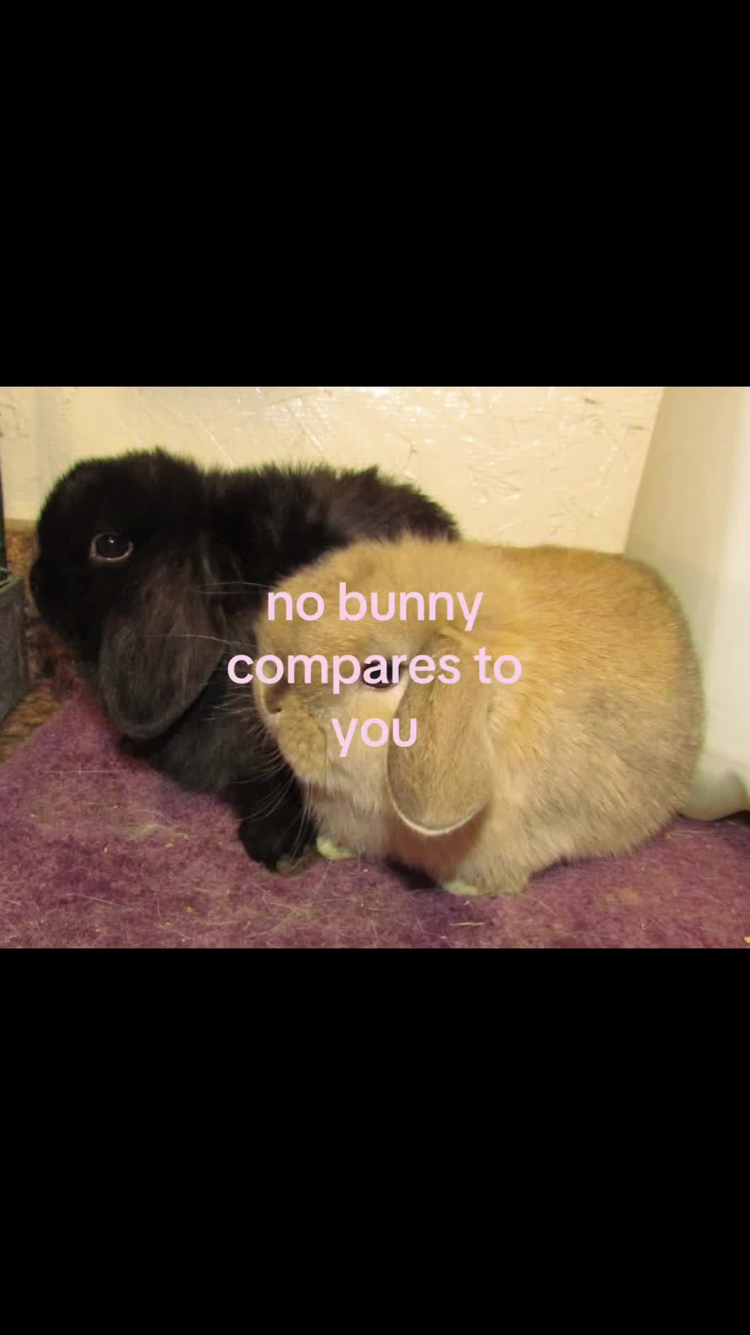 @rwnd