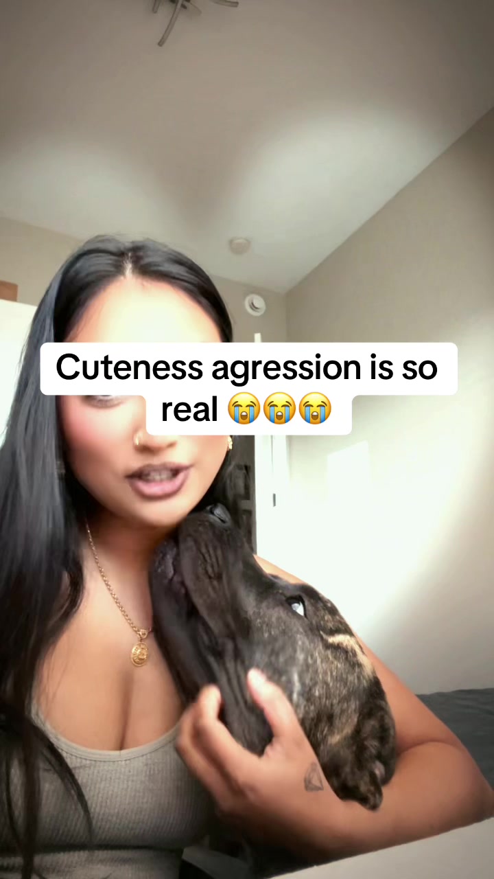 @shreya