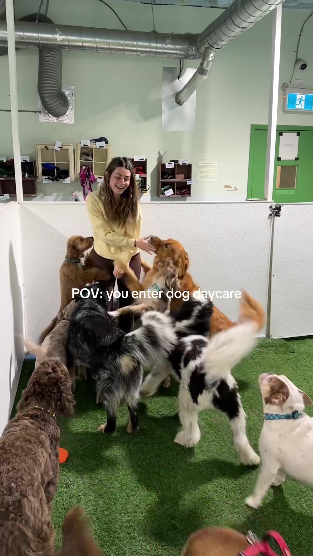 @Camp Canine Toronto