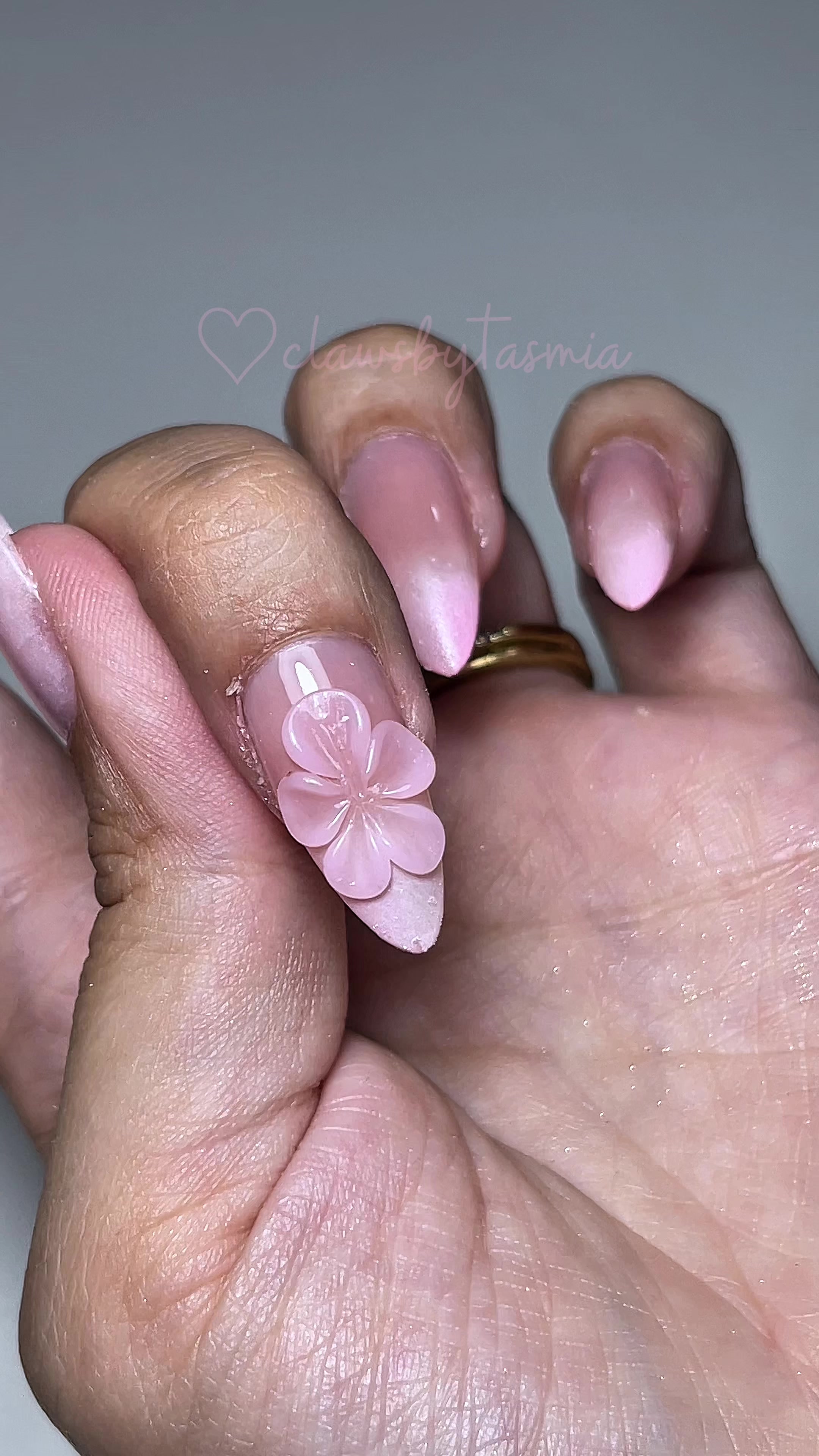 @clawsbytasmia ✨