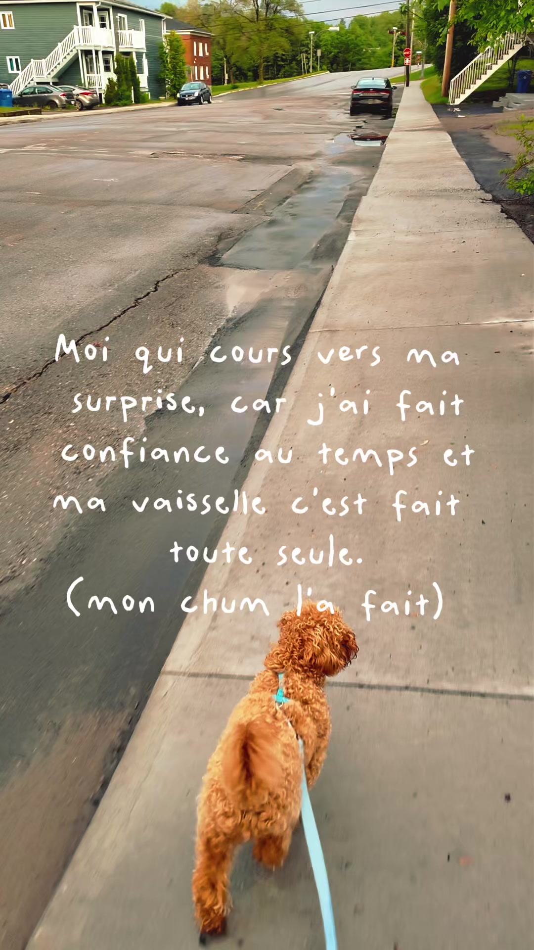 @Mah&eacute;ja