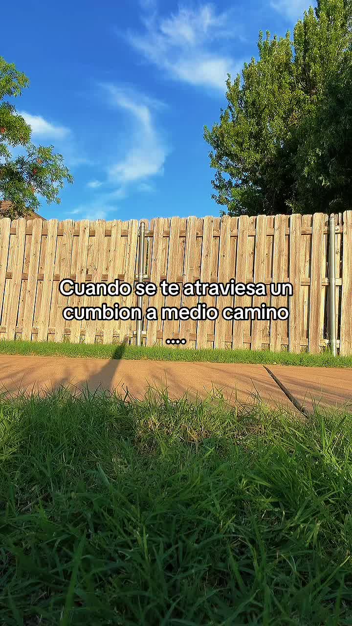 @Caro Villalobos
