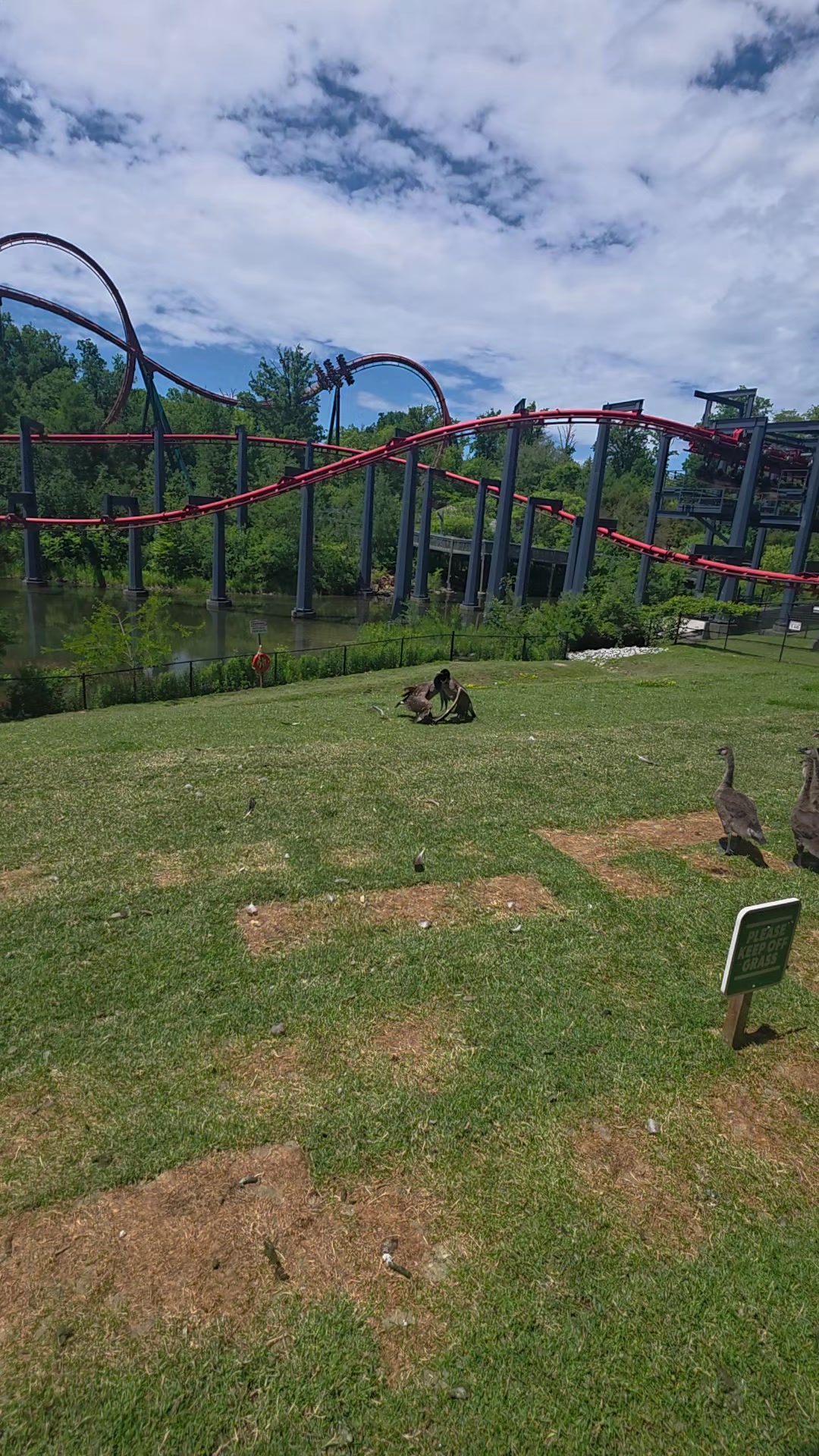 @CoolCanuck