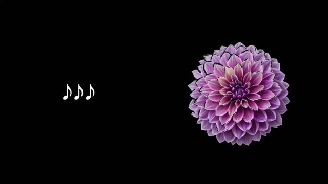 @𝐋𝐲𝐧𝐱.