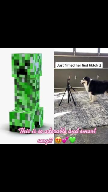 @💚🧨💚😟💚🧨💚