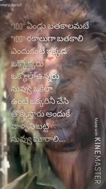 @@tik tok india