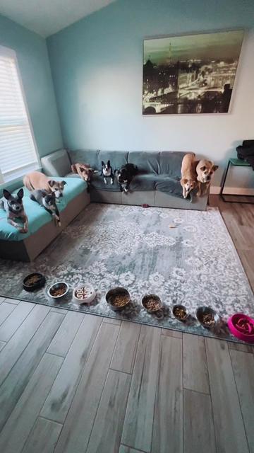 @thewoofpacknc