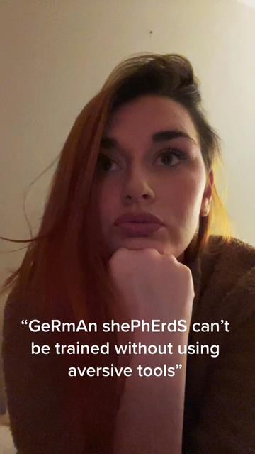 @sentientsparky