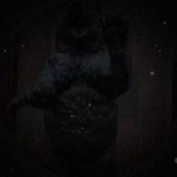 @kakaxanapontax