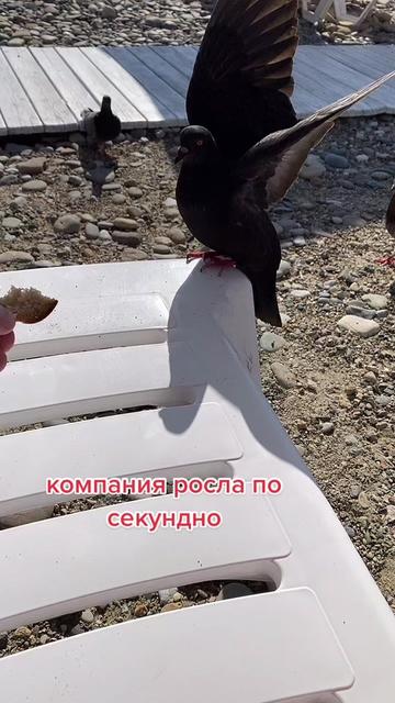 @Отдых Дикарями