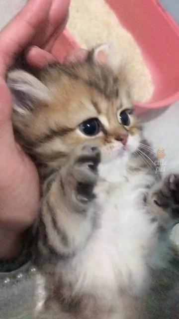 @dfhdhhd22