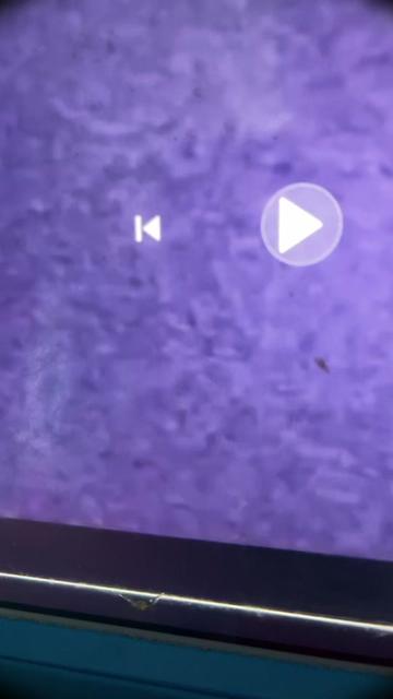 @user698490317824