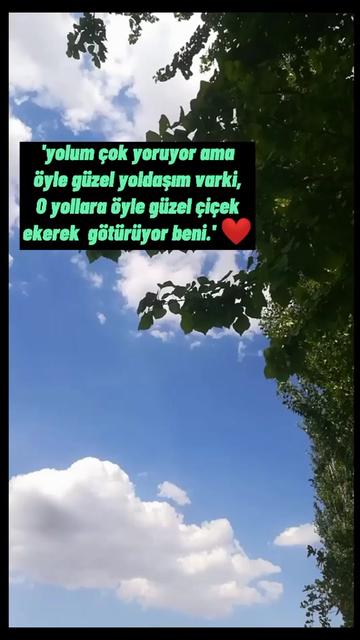 @🌼🦋🍃