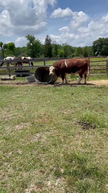 @Sandra Dorsey