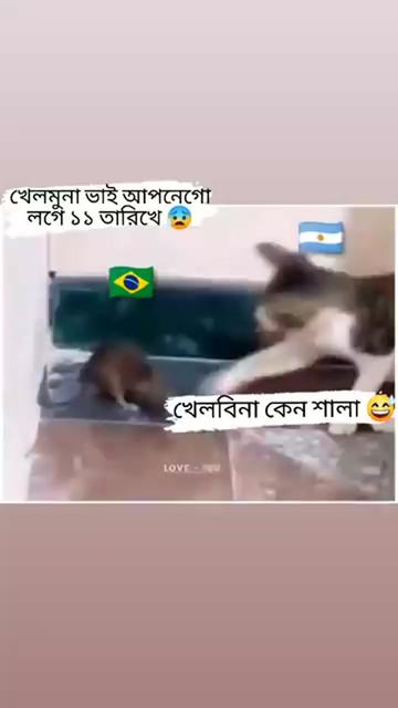 @Sabbir_official