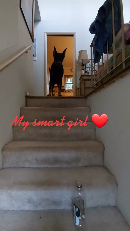 @bethellyn2