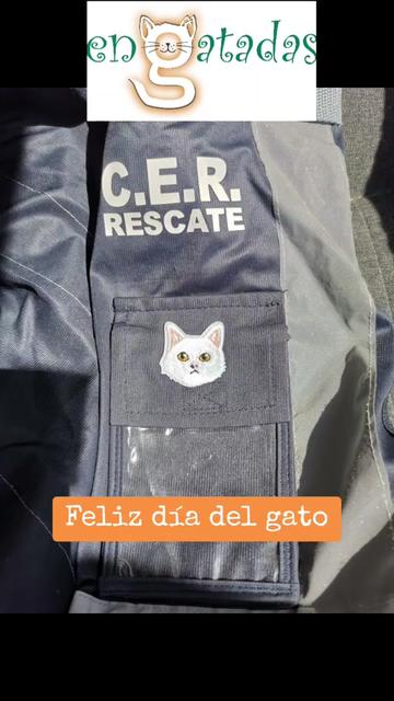 @enGatadas