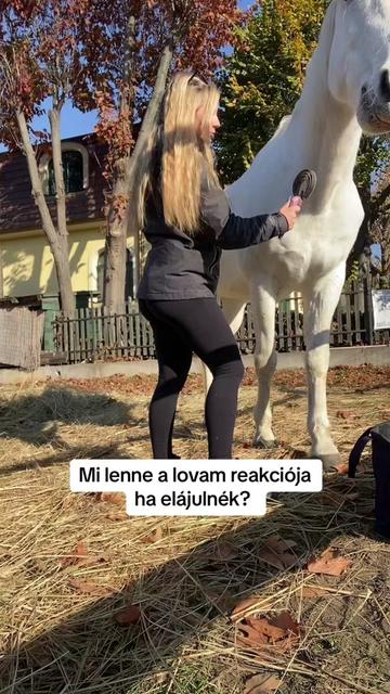 @Emirideer