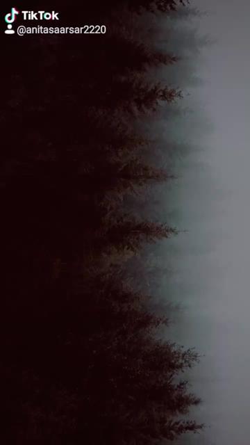 @Anita Naitik
