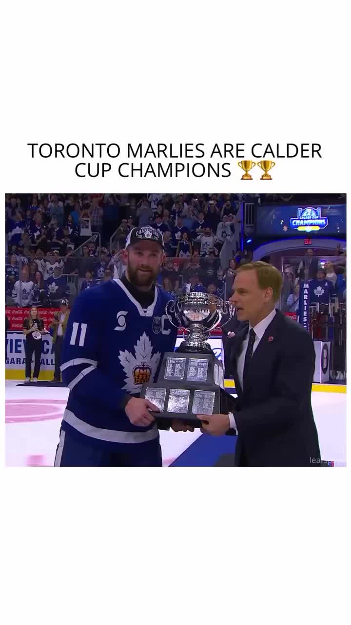 @leafspapi