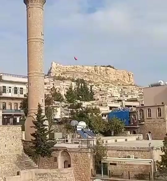 @Hayam