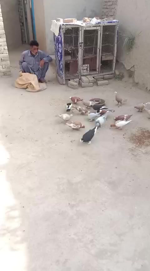 @Mahar Rashid Hamjana
