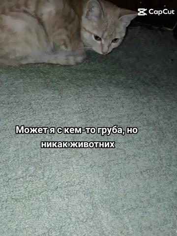 @~𝑈𝑙𝑡'𝑢