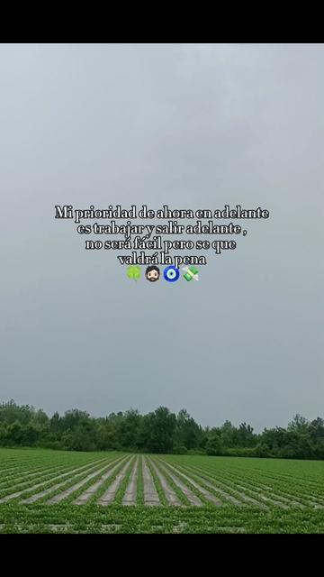 @🥇𝐀𝐥𝐚𝐧 𝐕𝐳𝐪⚽ ෴🥷෴.