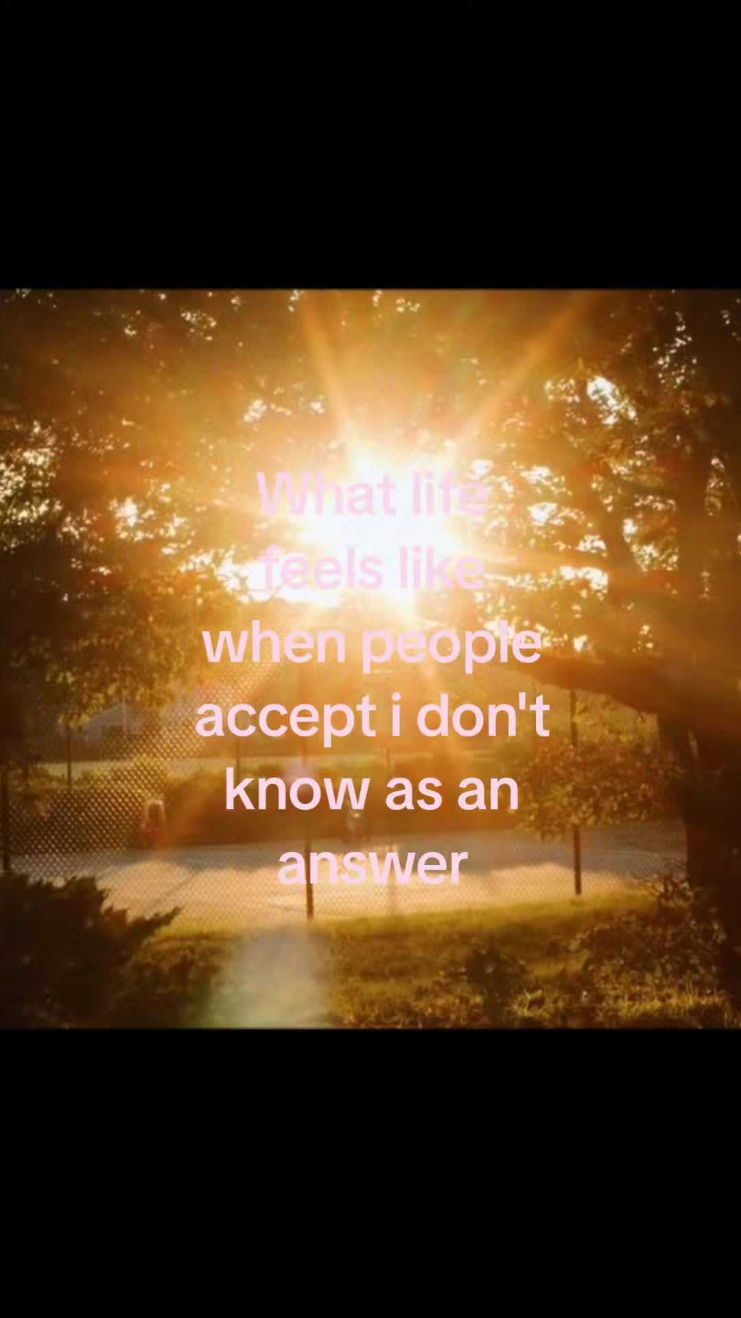 @🍥