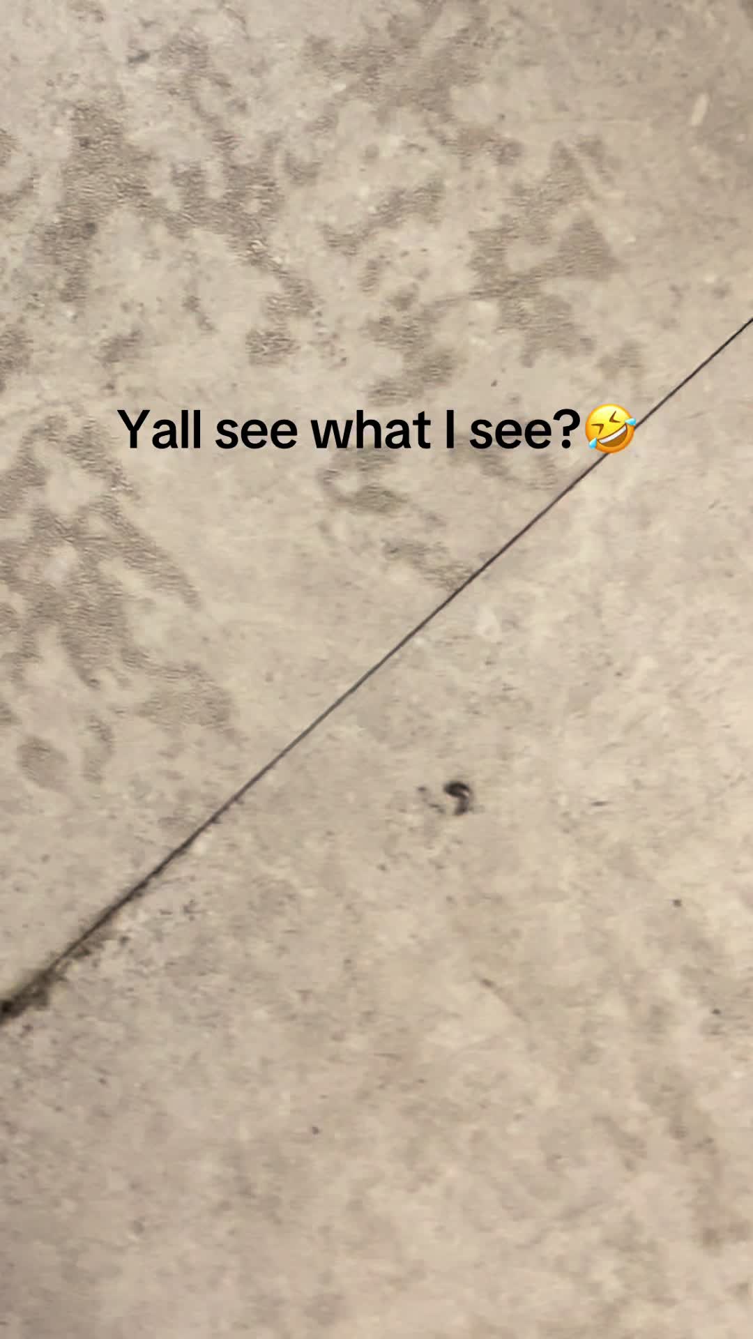 @thomiass