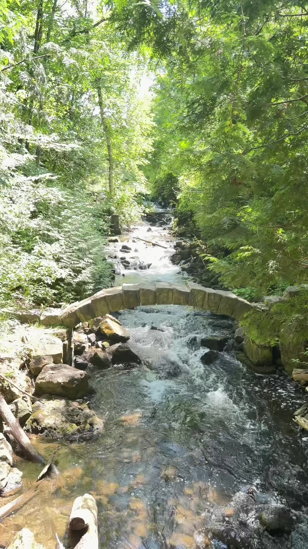 @Raza Warraich