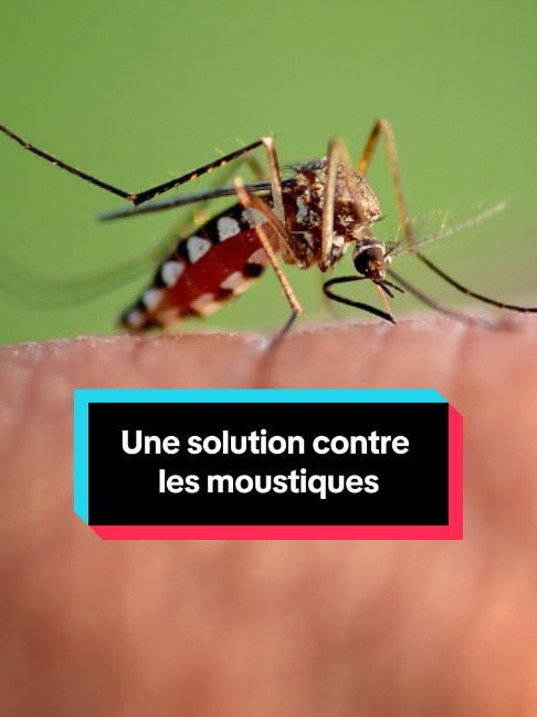 @24 heures