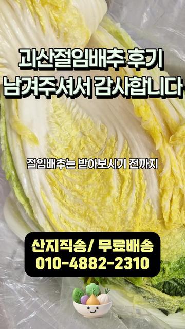 @아삭-괴산절임배추