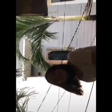 @Goldaayy🐒.