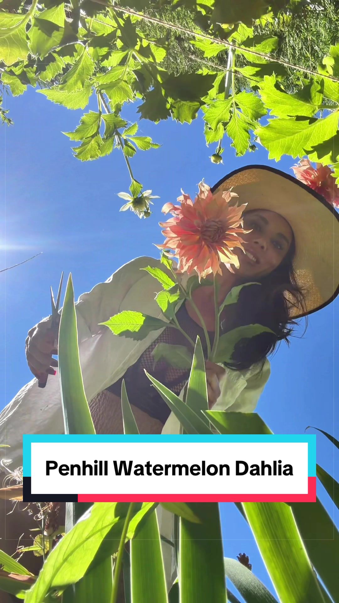 @Ava Dahlia 🇨🇦👩&zwj;🌾✌️
