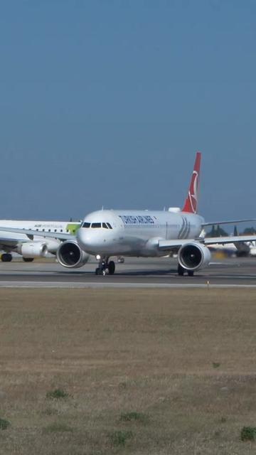 @Lisbon Spotting