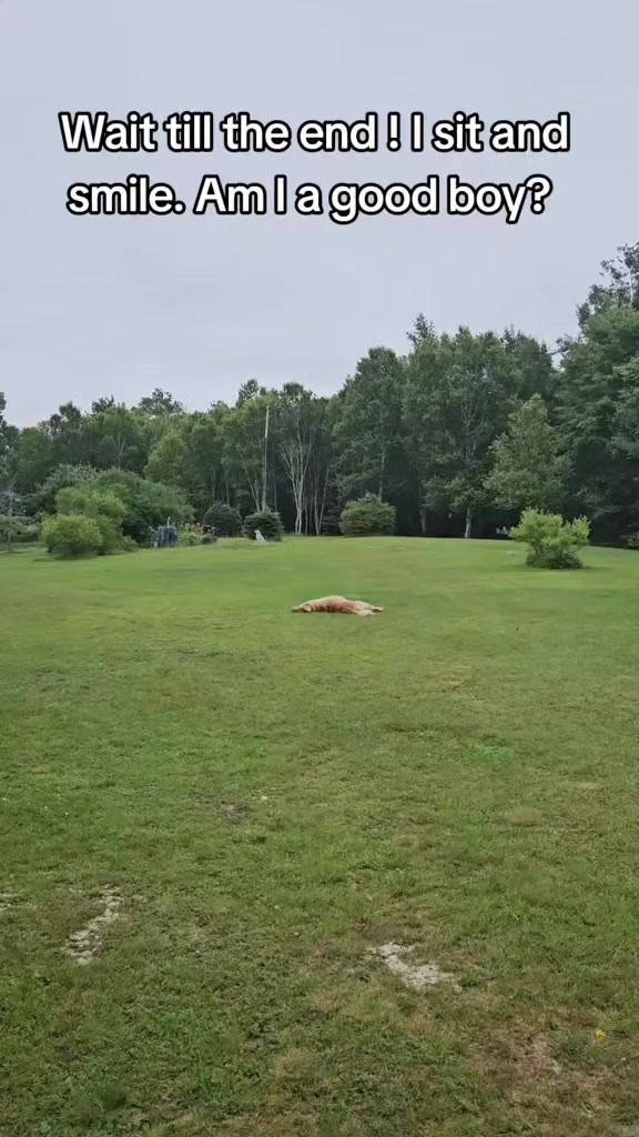 @🐶Griffin