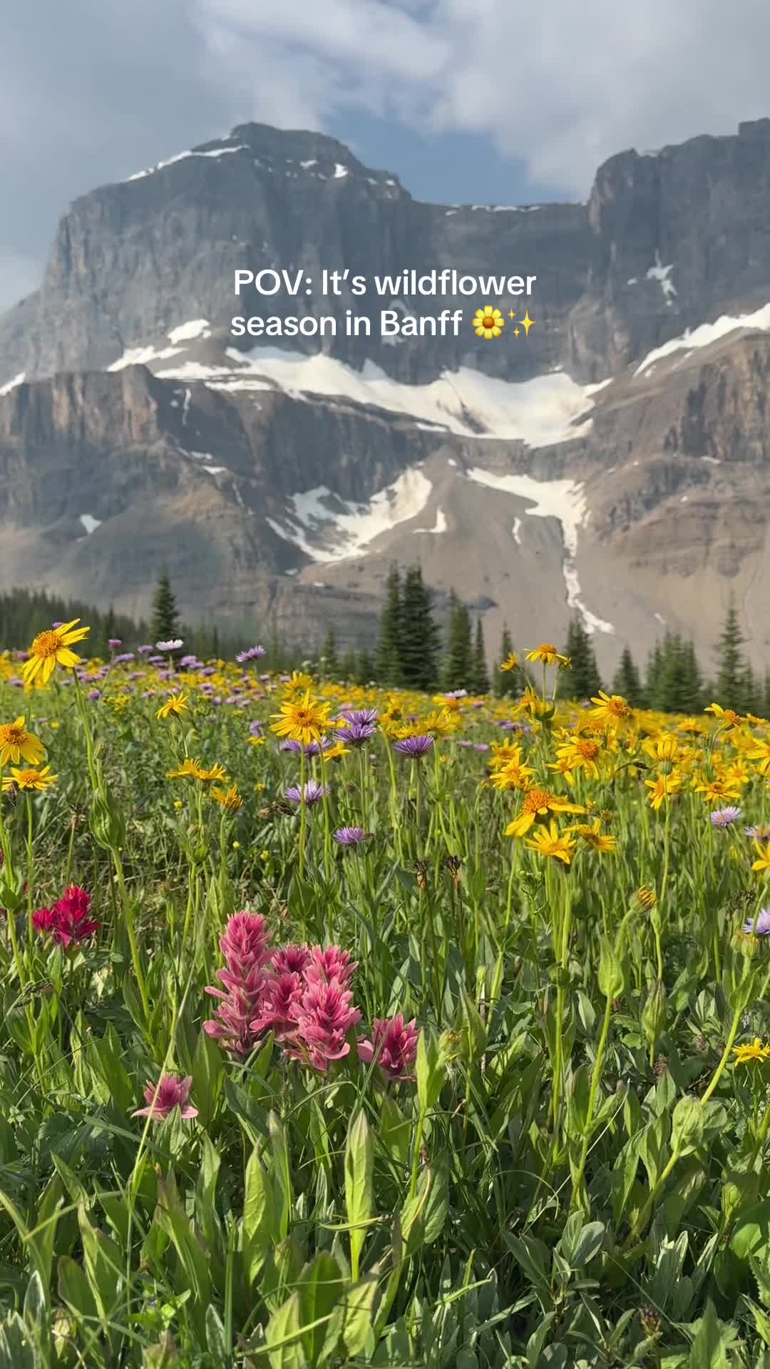 @Samantha