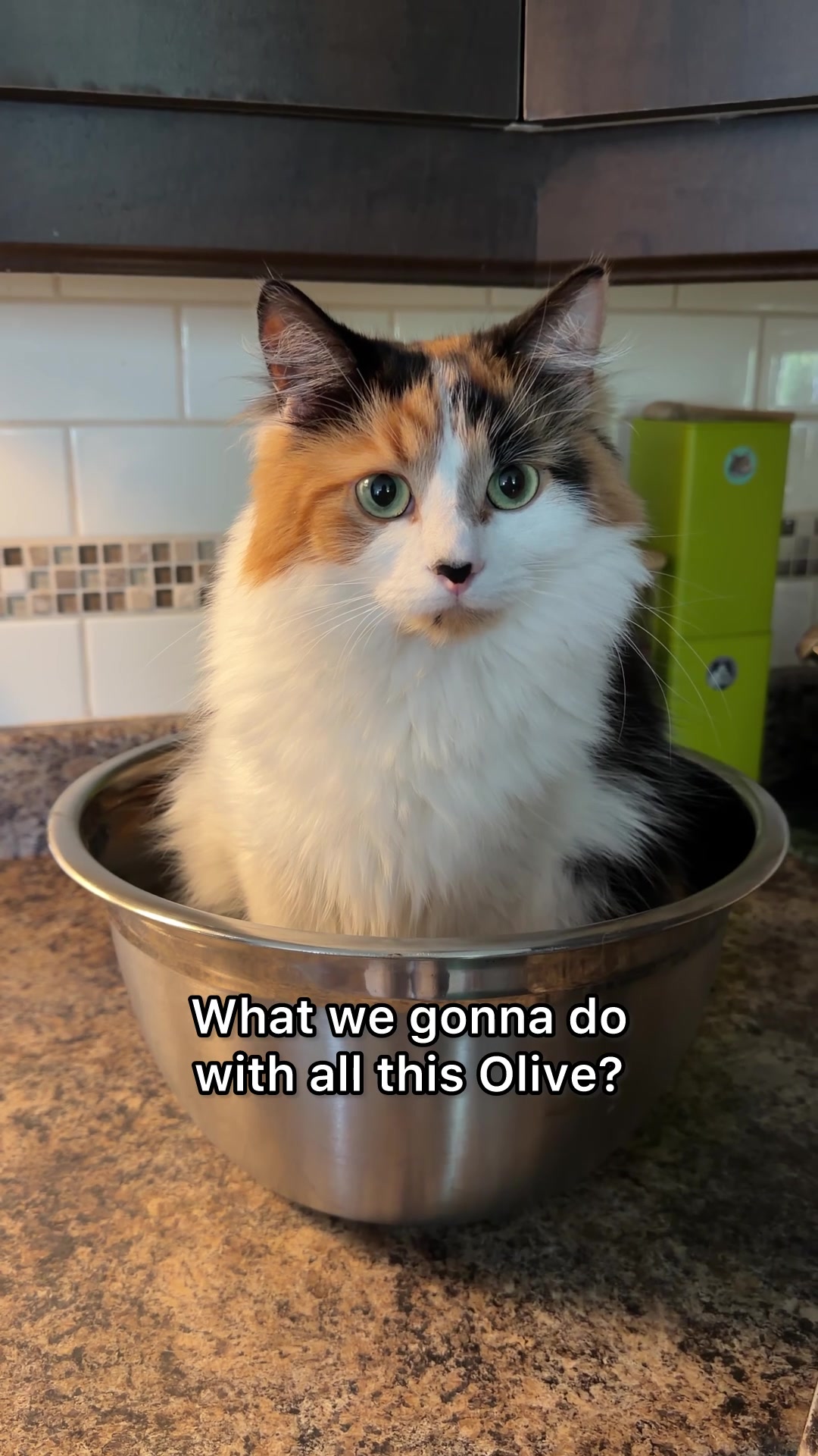 @The Oreo Cat