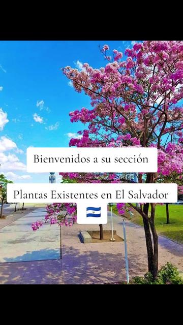 @Guía verde