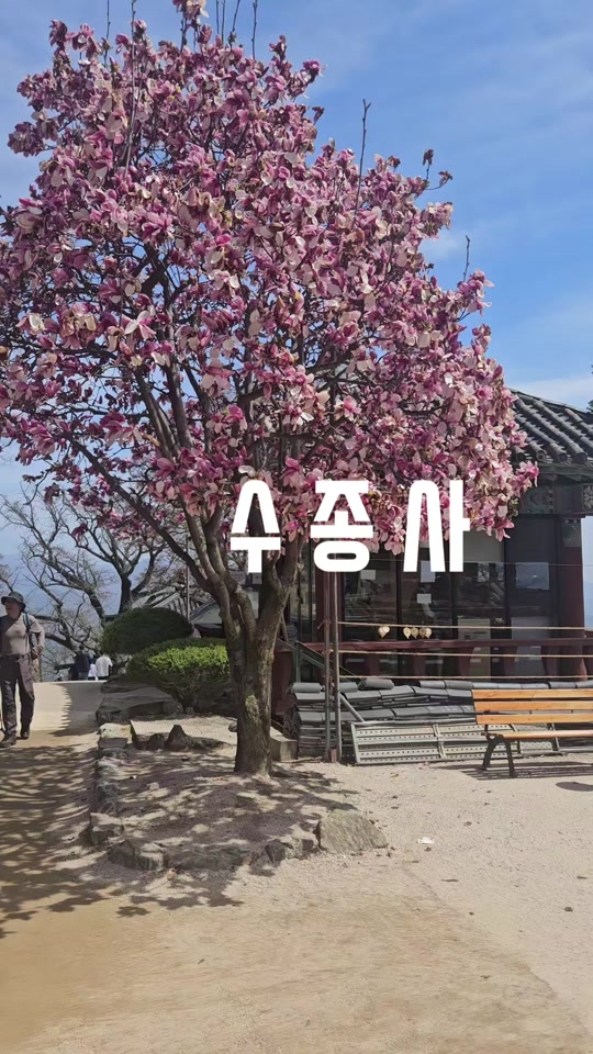 @뉴스녀