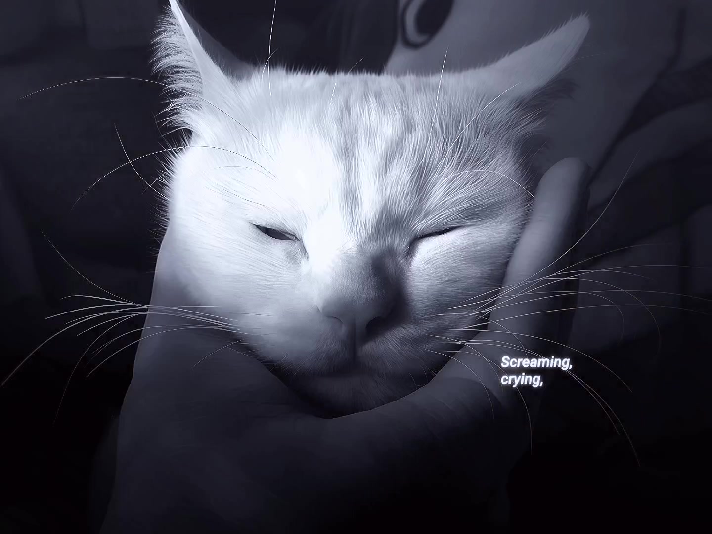 @Vbotメ