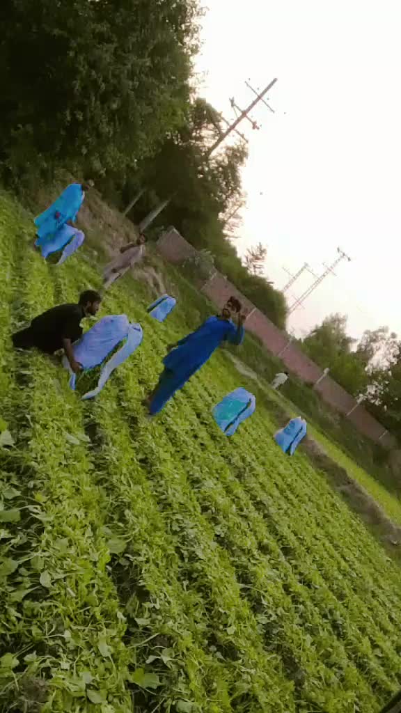 @03074121820