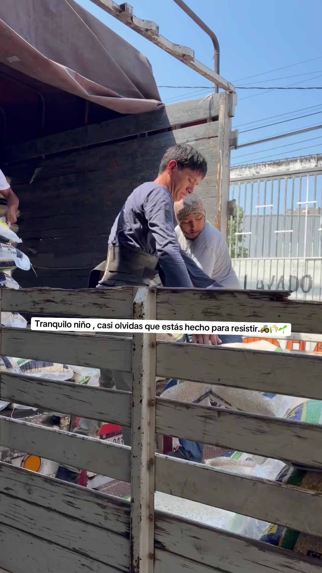 @agrovenmx