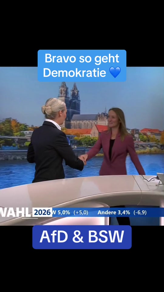 @vizekanzlerderherzen