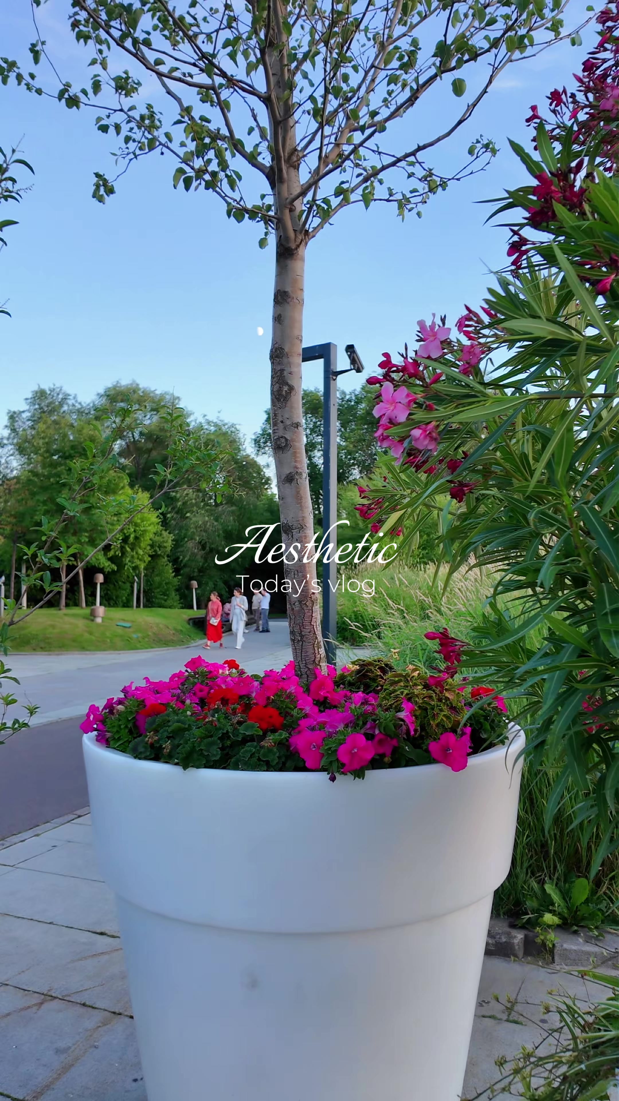 @Алина Хриенко