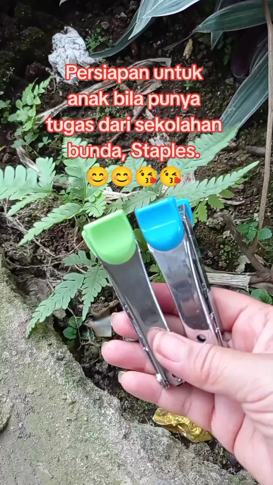 @Purnama