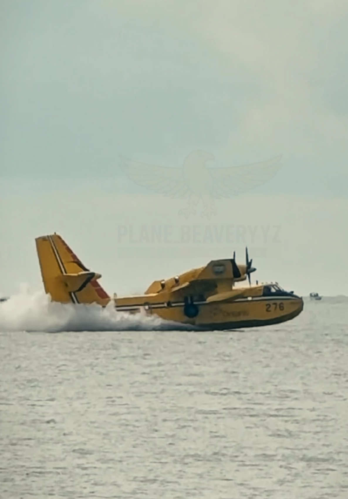 @plane_beaveryyz